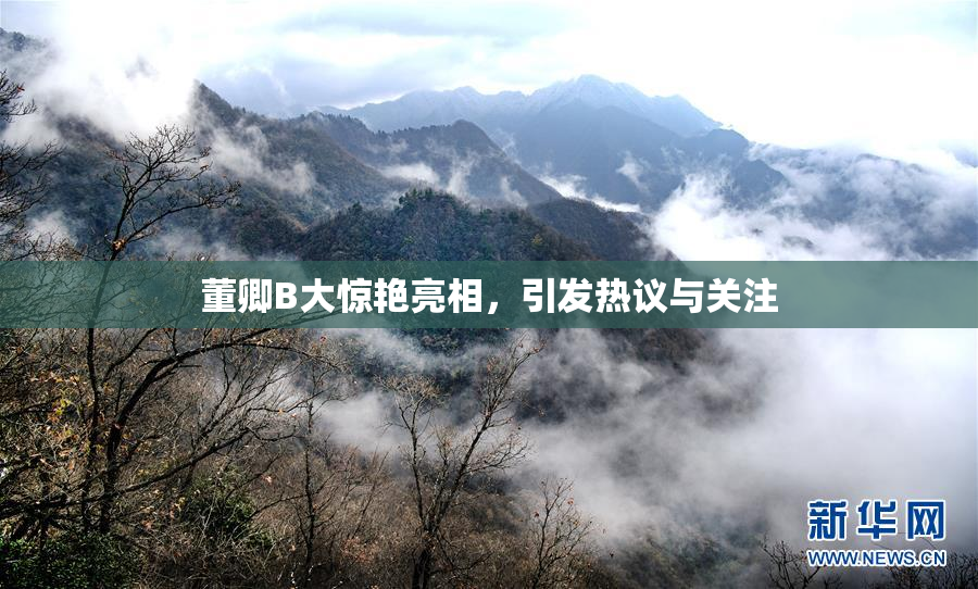 董卿B大惊艳亮相，引发热议与关注