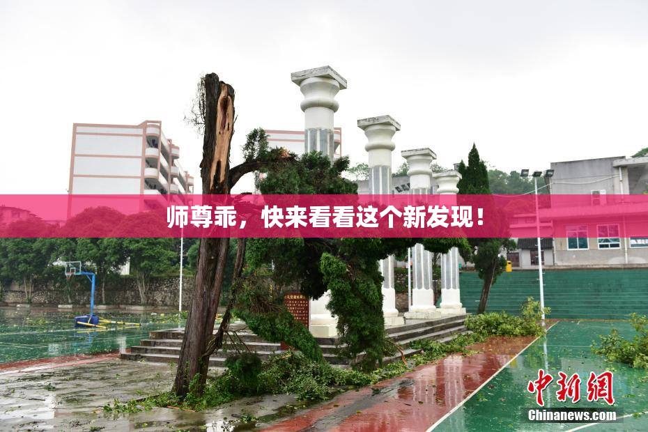 师尊乖，快来看看这个新发现！