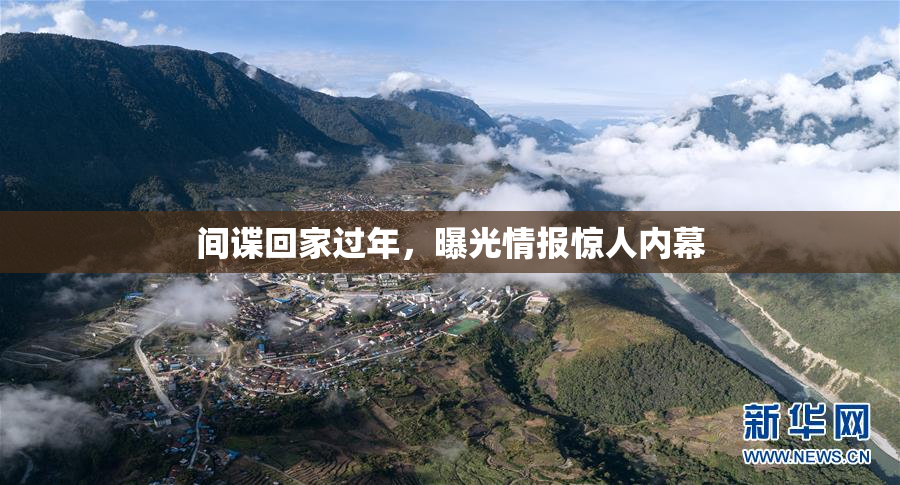 间谍回家过年，曝光情报惊人内幕