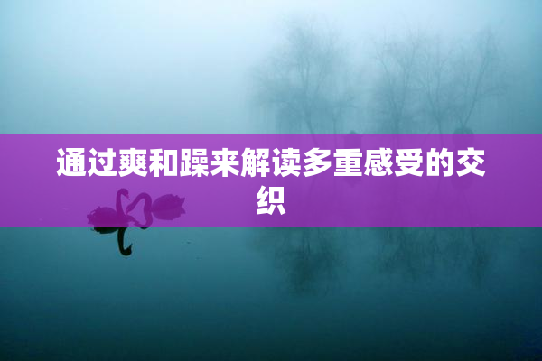 通过爽和躁来解读多重感受的交织