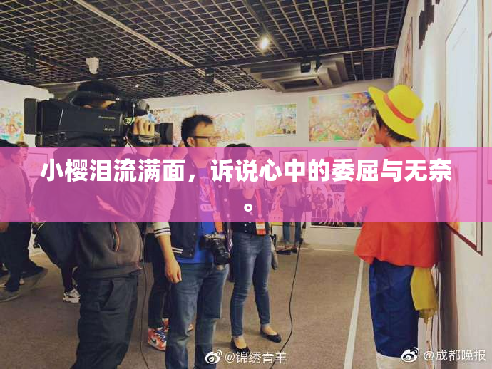 小樱泪流满面，诉说心中的委屈与无奈。
