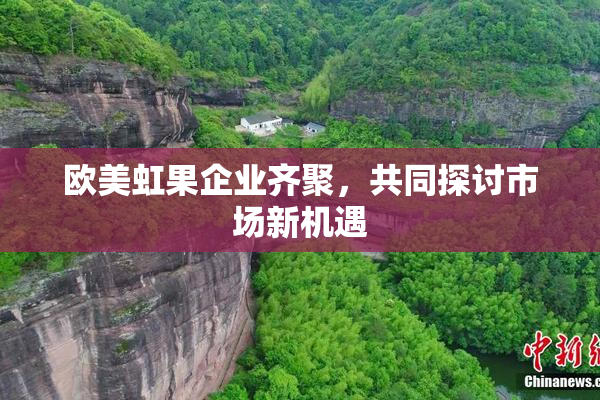 欧美虹果企业齐聚，共同探讨市场新机遇