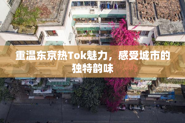 重温东京热Tok魅力，感受城市的独特韵味