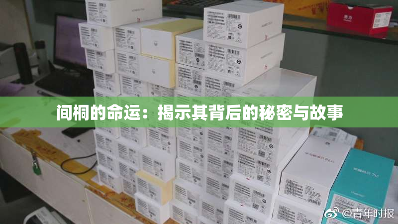 间桐的命运：揭示其背后的秘密与故事