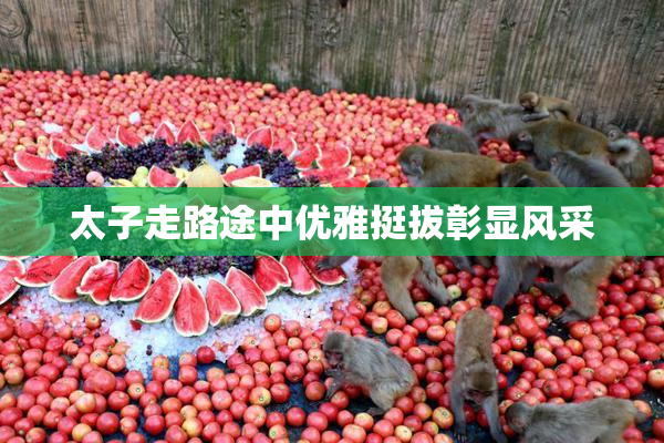 太子走路途中优雅挺拔彰显风采