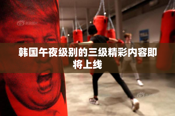韩国午夜级别的三级精彩内容即将上线