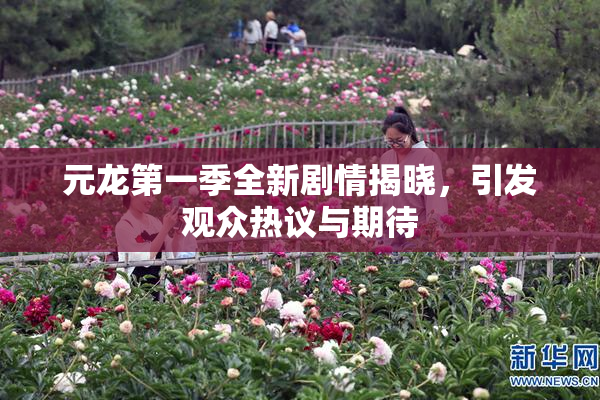 元龙第一季全新剧情揭晓，引发观众热议与期待