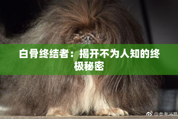 白骨终结者：揭开不为人知的终极秘密