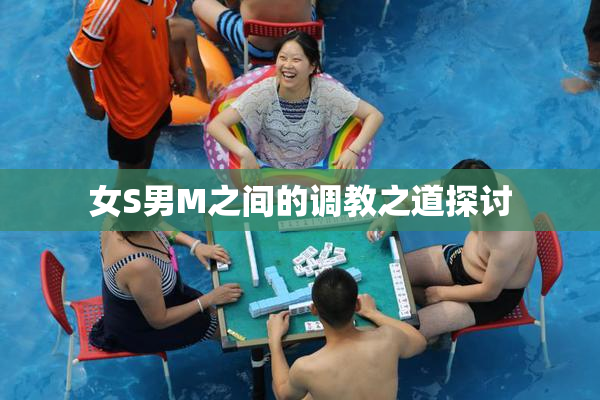 女S男M之间的调教之道探讨