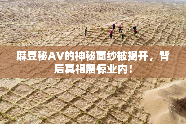 麻豆秘AV的神秘面纱被揭开，背后真相震惊业内！