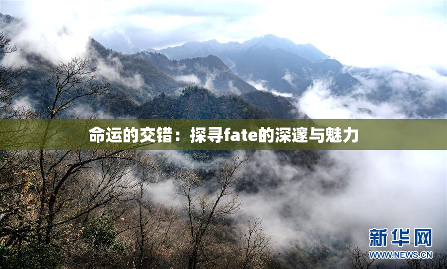 命运的交错：探寻fate的深邃与魅力