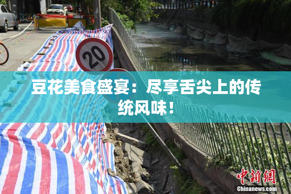 豆花美食盛宴：尽享舌尖上的传统风味！