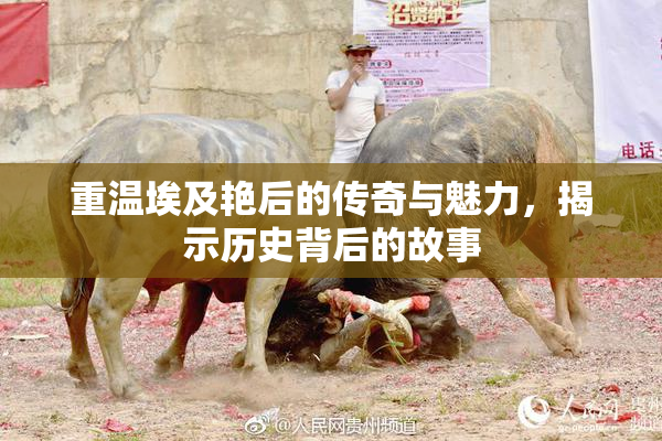 重温埃及艳后的传奇与魅力，揭示历史背后的故事