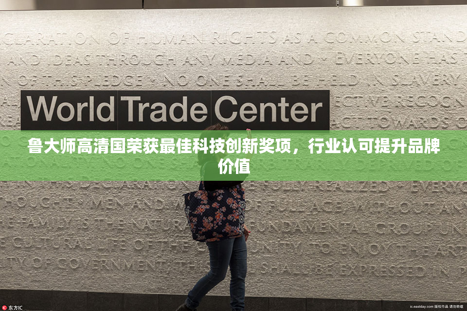 鲁大师高清国荣获最佳科技创新奖项，行业认可提升品牌价值