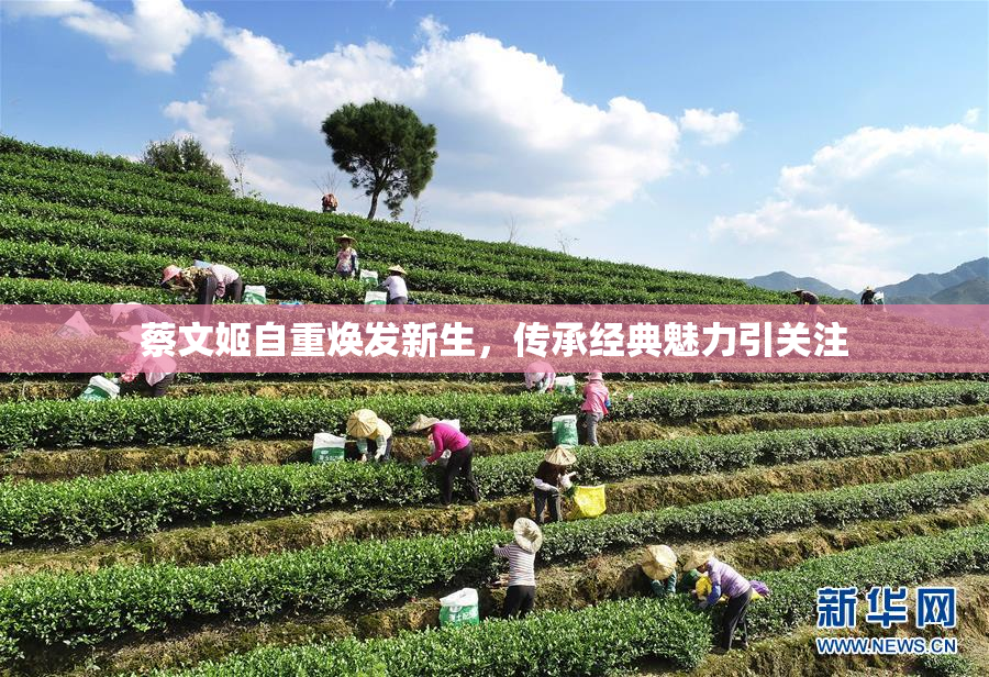 蔡文姬自重焕发新生，传承经典魅力引关注