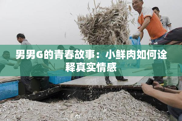 男男G的青春故事：小鲜肉如何诠释真实情感