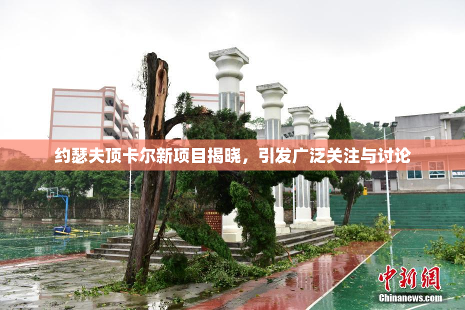 约瑟夫顶卡尔新项目揭晓，引发广泛关注与讨论