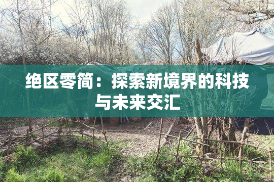 绝区零简：探索新境界的科技与未来交汇