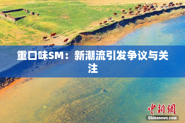 重口味SM：新潮流引发争议与关注