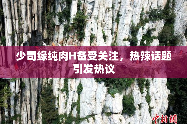 少司缘纯肉H备受关注，热辣话题引发热议