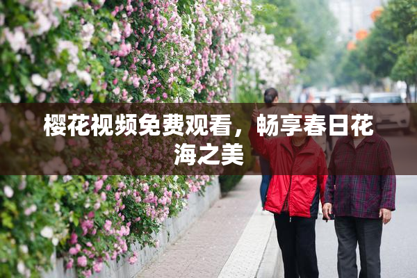 樱花视频免费观看，畅享春日花海之美