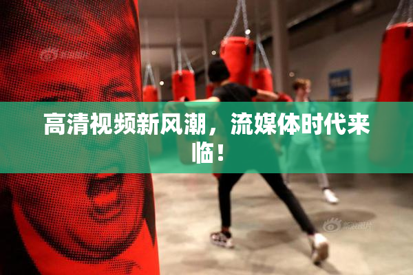 高清视频新风潮，流媒体时代来临！