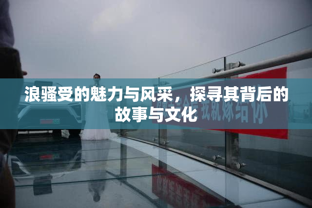 浪骚受的魅力与风采，探寻其背后的故事与文化