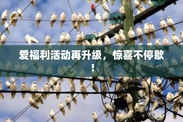 爱福利活动再升级，惊喜不停歇！