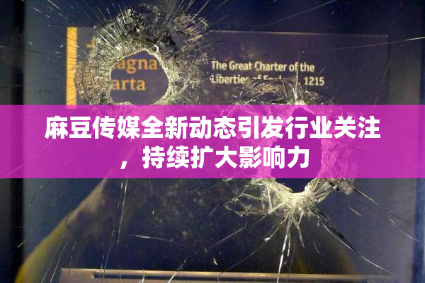 麻豆传媒全新动态引发行业关注，持续扩大影响力
