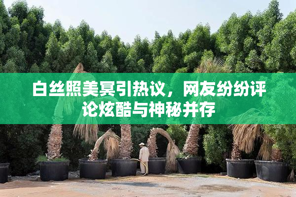 白丝照美冥引热议，网友纷纷评论炫酷与神秘并存