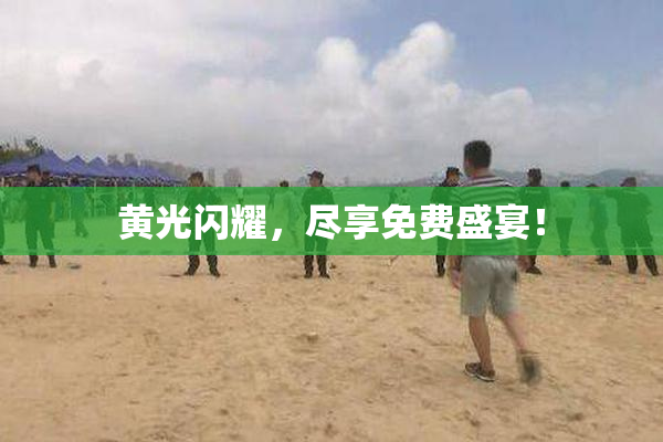 黄光闪耀，尽享免费盛宴！