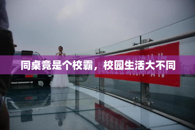 同桌竟是个校霸，校园生活大不同