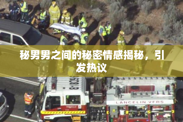 秘男男之间的秘密情感揭秘，引发热议
