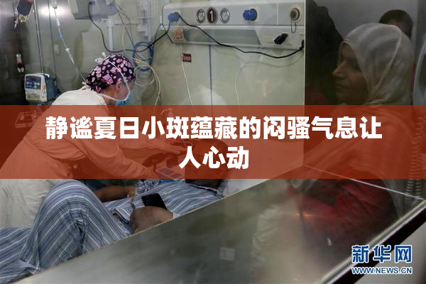 静谧夏日小斑蕴藏的闷骚气息让人心动