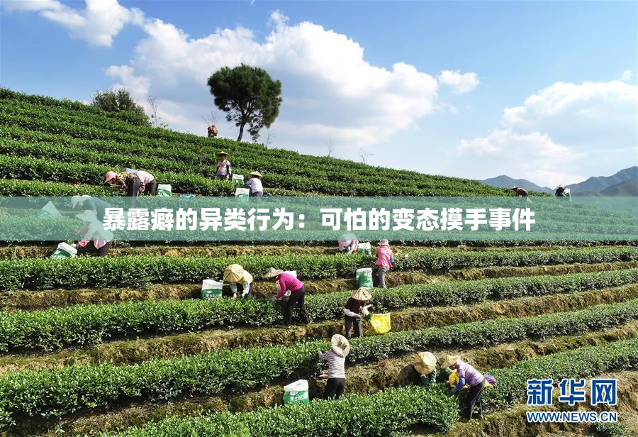 暴露癖的异类行为：可怕的变态摸手事件