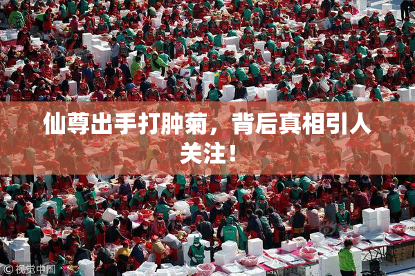仙尊出手打肿菊，背后真相引人关注！