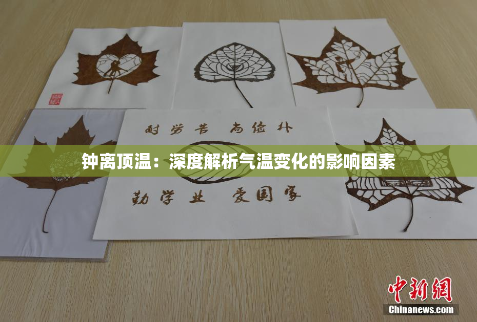 钟离顶温：深度解析气温变化的影响因素