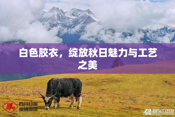 白色胶衣，绽放秋日魅力与工艺之美