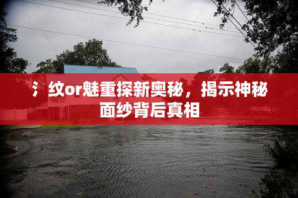 氵纹or魅重探新奥秘，揭示神秘面纱背后真相