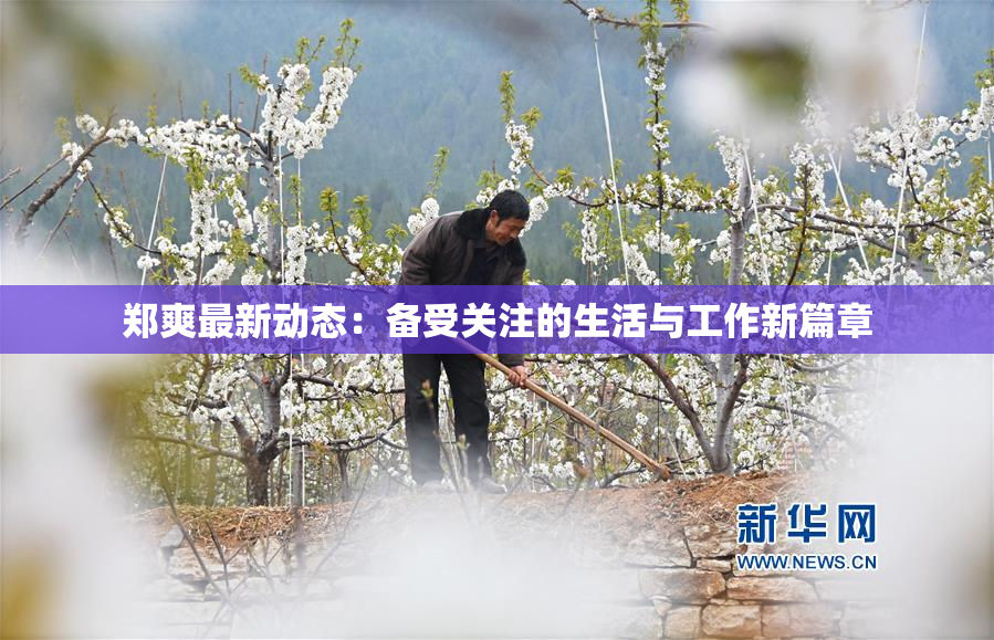 郑爽最新动态：备受关注的生活与工作新篇章