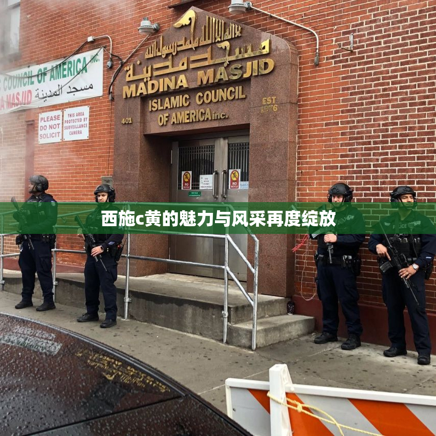 西施c黄的魅力与风采再度绽放