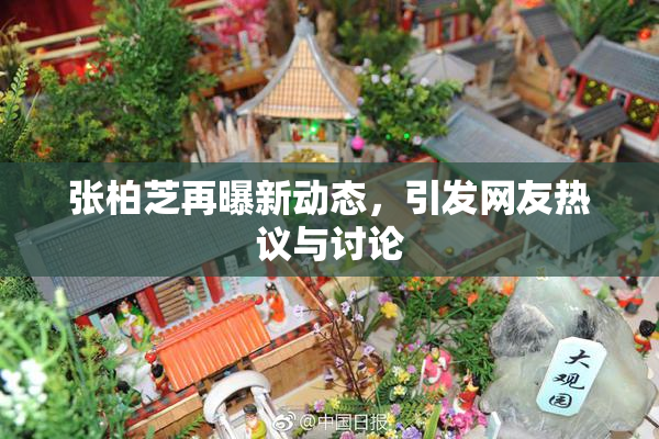 张柏芝再曝新动态，引发网友热议与讨论