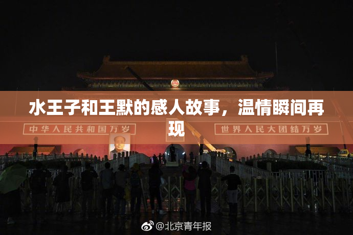 水王子和王默的感人故事，温情瞬间再现