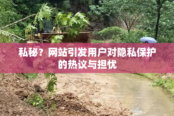 私秘？网站引发用户对隐私保护的热议与担忧