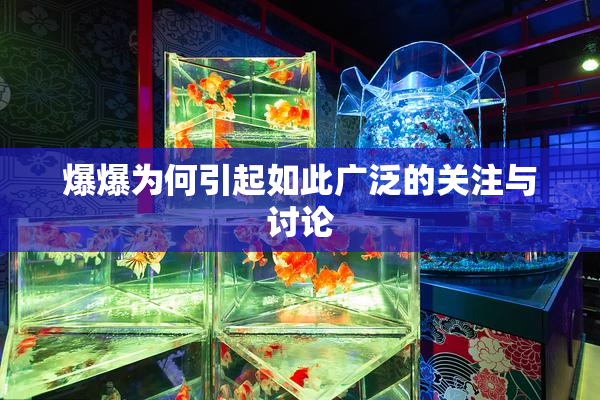 爆爆为何引起如此广泛的关注与讨论