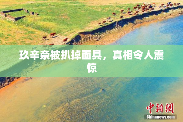 玖辛奈被扒掉面具，真相令人震惊
