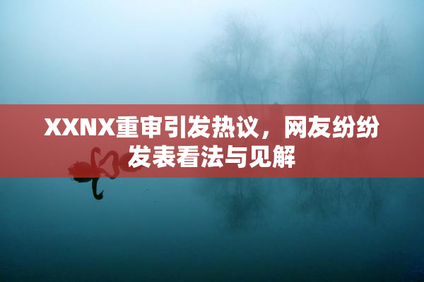 XXNX重审引发热议，网友纷纷发表看法与见解