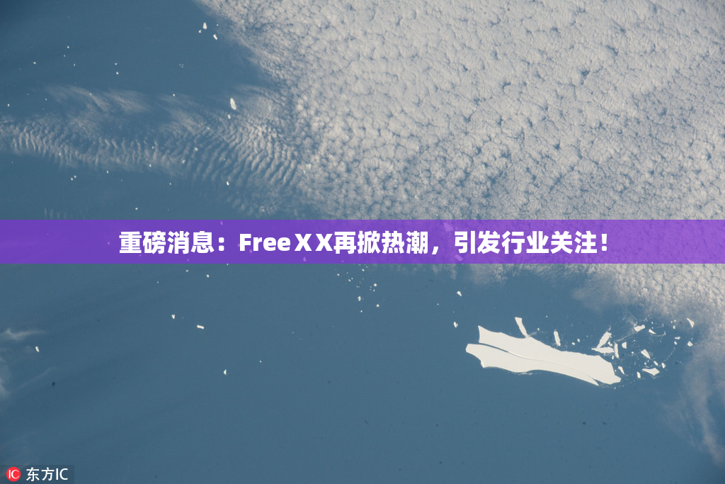 重磅消息：FreeⅩX再掀热潮，引发行业关注！