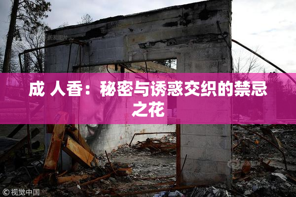 成 人香：秘密与诱惑交织的禁忌之花