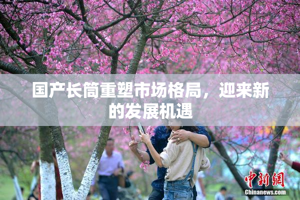 国产长筒重塑市场格局，迎来新的发展机遇